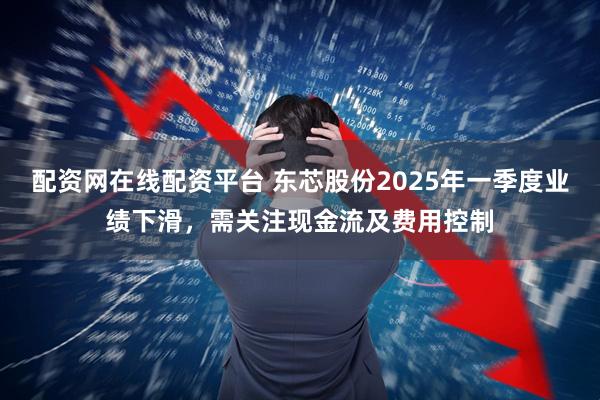 配资网在线配资平台 东芯股份2025年一季度业绩下滑，需关注现金流及费用控制