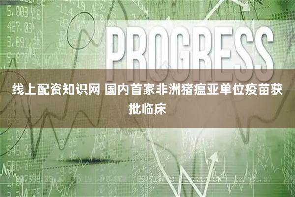 线上配资知识网 国内首家非洲猪瘟亚单位疫苗获批临床